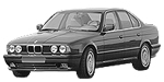 BMW E34 P1440 Fault Code